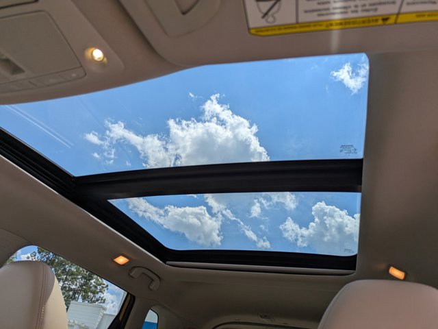 View 20